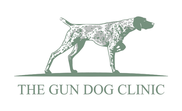 Gun Dog Clinic